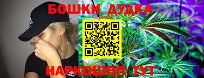 индика Малгобек