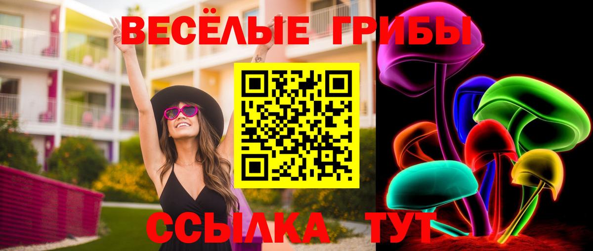Галлюциногенные грибы мухоморы  Вход с VPN  Вязьма  Галлюциногенные грибы Cubensis 