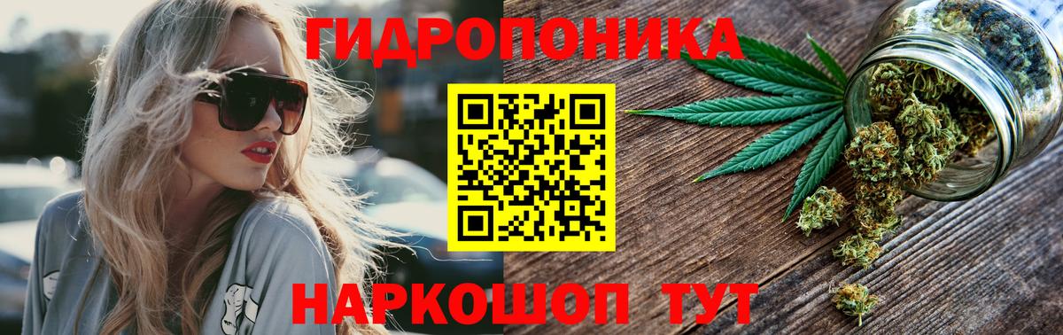 Бошки марихуана Ganja  МАРИХУАНА Amnesia  Вязьма  Вход с VPN  Марихуана Bruce Banner  Канабис индика 